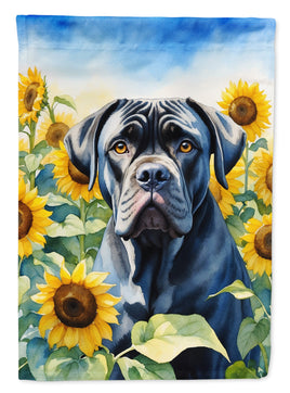 Caroline's Treasures, Carolines Treasures, house flags, dog flags, pet flags, porch flags, outdoor décor, outdoor flags, american made flags, flags made in the US