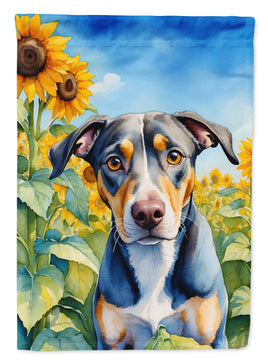 Catahoula in Sunflowers House Flag