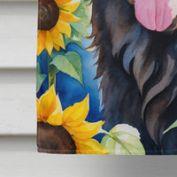 Newfoundland in Sunflowers House Flag
