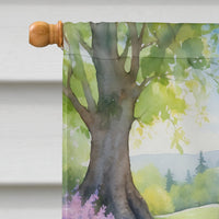 Irish Setter Spring Path House Flag
