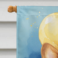 Corgi Happy Birthday House Flag
