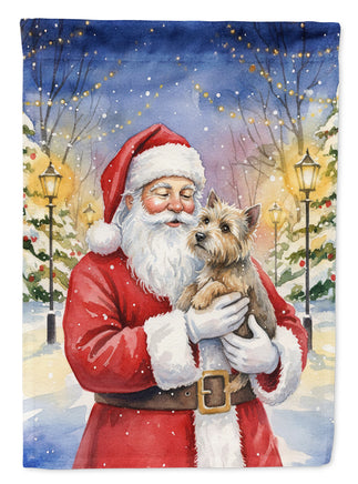 Caroline's Treasures, Christmas Flag, House Flag, Pet Flag, Dog Flag, Cat Flag, Outdoor Decor