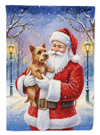 Caroline's Treasures, Christmas Flag, House Flag, Pet Flag, Dog Flag, Cat Flag, Outdoor Decor