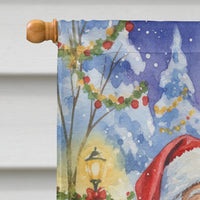 Weimaraner with Santa Claus House Flag