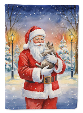 Caroline's Treasures, Christmas Flag, Garden Flag, Pet Flag, Dog Flag, Cat Flag, Outdoor Decor