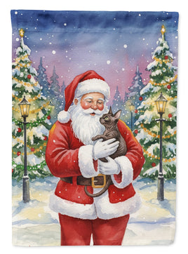 Caroline's Treasures, Christmas Flag, Garden Flag, Pet Flag, Dog Flag, Cat Flag, Outdoor Decor