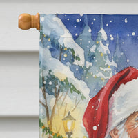 Silver Classic Tabby Cat with Santa Claus House Flag