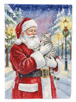 Caroline's Treasures, Christmas Flag, Garden Flag, Pet Flag, Dog Flag, Cat Flag, Outdoor Decor