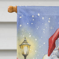 Sphynx Cat with Santa Claus House Flag