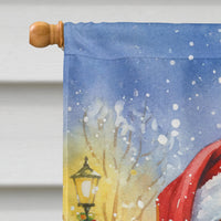 Rainbow Lorikeet with Santa Claus House Flag