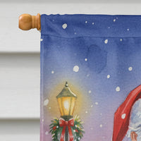 Red Lory with Santa Claus House Flag