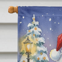 Red Bellied Parrot with Santa Claus House Flag