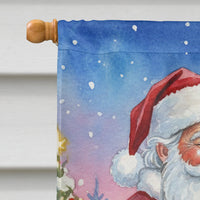 Roadrunner with Santa Claus House Flag