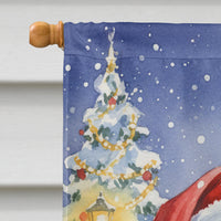 Robin with Santa Claus House Flag