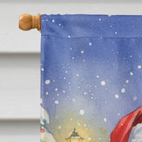 Scarlet Macaw with Santa Claus House Flag