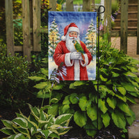 Senegal Parrot with Santa Claus Garden Flag
