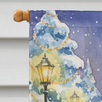 Sun Conure with Santa Claus House Flag