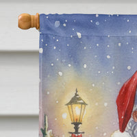 Timneh African Grey with Santa Claus House Flag