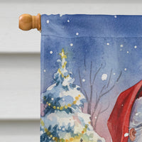 White Bellied Caique with Santa Claus House Flag