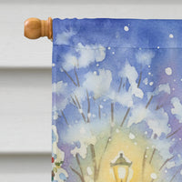 Yellow Naped Amazon with Santa Claus House Flag