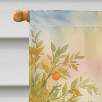 Santa Claus in the Orange Grove Christmas House Flag