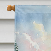 Santa Claus Skiing Downhill Christmas House Flag