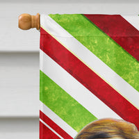 Candy Cane Holiday Christmas Jack Russell Terrier Flag Canvas House Size KJ1169CHF