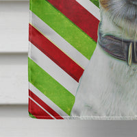Candy Cane Holiday Christmas Jack Russell Terrier Flag Canvas House Size KJ1169CHF