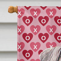 Hearts Love and Valentine's Day Schnauzer Flag Canvas House Size KJ1193CHF