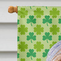 Bearded Collie St. Patrick's Day Shamrock Portrait Flag Canvas House Size