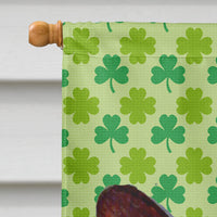 Corgi St. Patrick's Day Shamrock Portrait Flag Canvas House Size