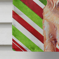 Brussels Griffon Candy Cane Holiday Christmas  Flag Canvas House Size