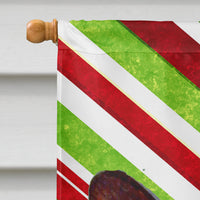 Corgi Candy Cane Holiday Christmas  Flag Canvas House Size