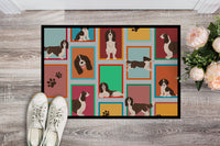 Lots of Liver English Springer Spaniel Indoor or Outdoor Mat 24x36