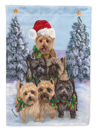 Caroline's Treasures, Carolines Treasures, house flags, christmas flags, dog flags, pet flags, porch flags, christmas decor, outdoor décor, outdoor flags, american made flags, flags made in the US