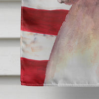 Cooper USA American Flag Boxer Flag Canvas House Size RDR3001CHF