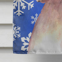 Cooper Winter Snowflakes Boxer Flag Canvas House Size RDR3003CHF