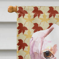 Cooper Fall Leaves Boxer Flag Canvas House Size RDR3007CHF