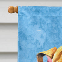 Bulldog English Flag Canvas House Size