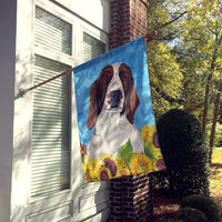 Welsh Springer Spaniel Flag Canvas House Size