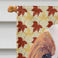 Cavalier Spaniel Fall Leaves Portrait Flag Canvas House Size