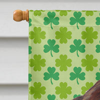 Welsh Springer Spaniel St. Patrick's Day Shamrock Flag Canvas House Size