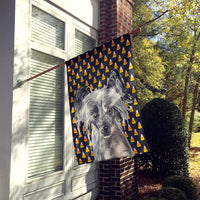 Chinese Crested Halloween Candy Corn Flag Canvas House Size