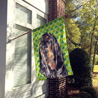 Coonhound St Patrick's Irish Flag Canvas House Size