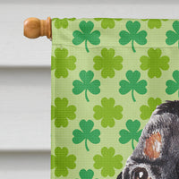 Coonhound St Patrick's Irish Flag Canvas House Size