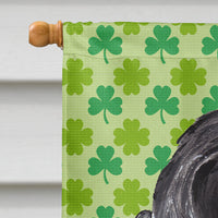 Cocker Spaniel St Patrick's Irish Flag Canvas House Size