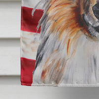 Collie with American Flag USA Flag Canvas House Size SC9622CHF