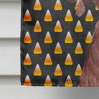 Redbone Coonhound Candy Corn Halloween Flag Canvas House Size SC9659CHF