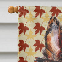Collie Fall Leaves Flag Canvas House Size SC9670CHF