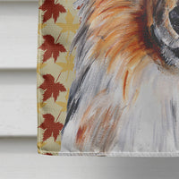 Collie Fall Leaves Flag Canvas House Size SC9670CHF